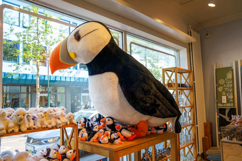 Souvenir shop in Iceland. Giant puffin in a souvenir shop in Iceland.