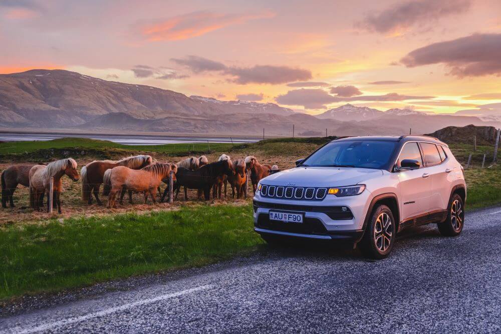 Car parked in front of Icelandic horses in the midnight sun.