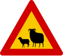 Warining sign for sheeps on the road in Iceland.