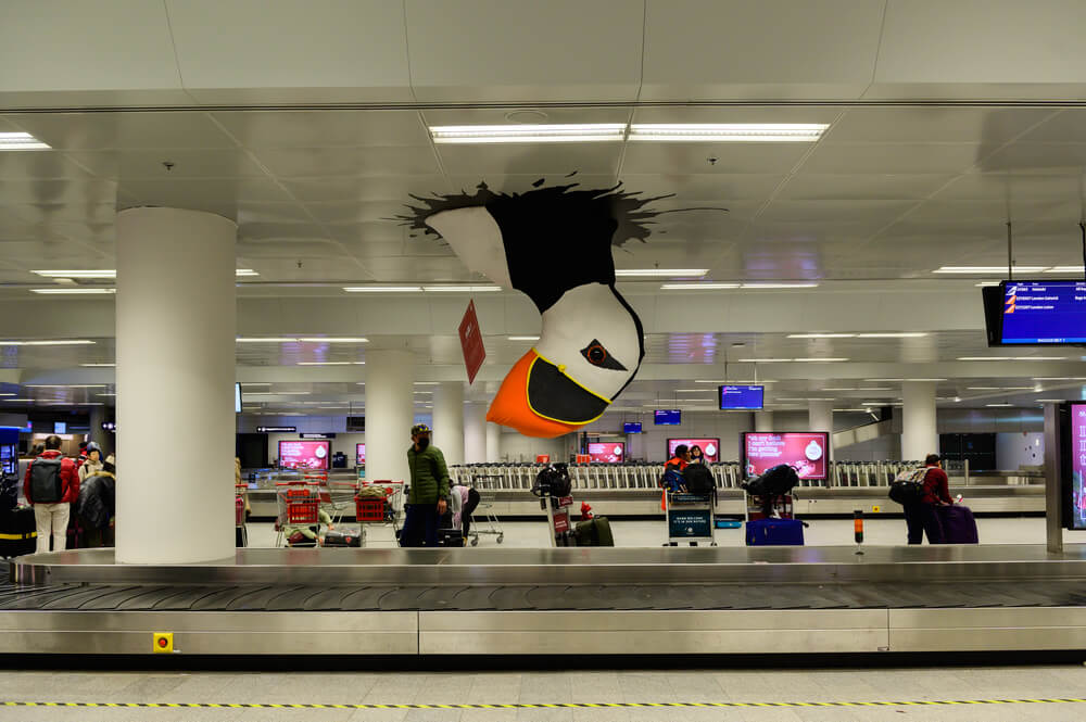 Puffin at Keflavik Airport in Reykjavik.