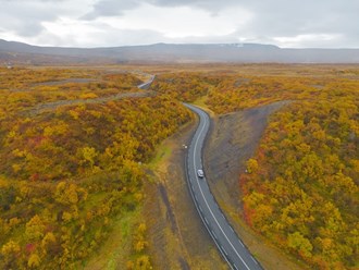 Iceland road in autumn colors